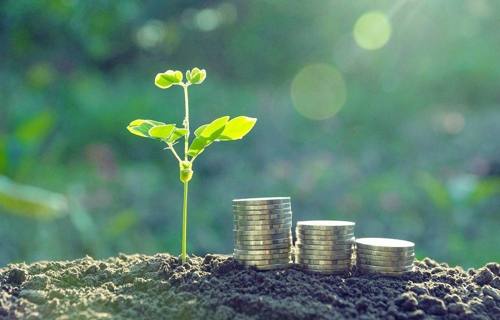 The emergence of Green Bonds asCSR - DIU Blog